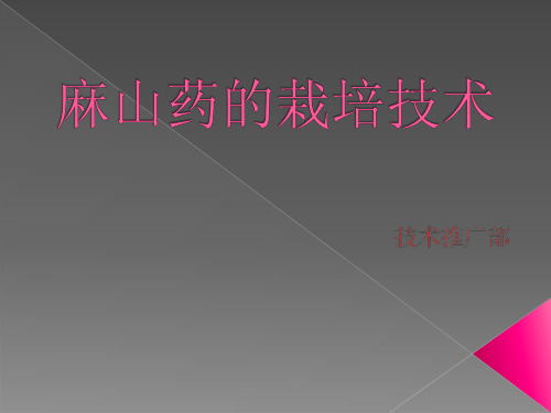 麻山药的栽培技术精品PPT课件