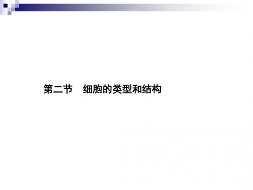 苏教版必修一3.2.1 原核细胞和真核细胞、细胞膜和细胞壁 课件(30张)