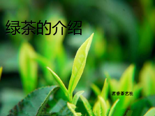 绿茶介绍
