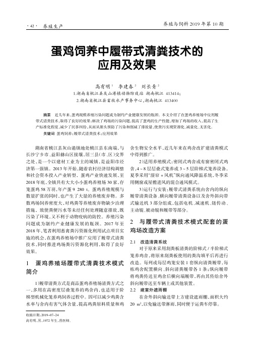 蛋鸡饲养中履带式清粪技术的应用及效果