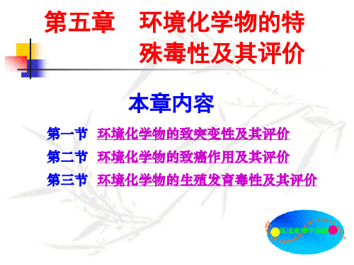 环境化学物的特殊毒性及其评价