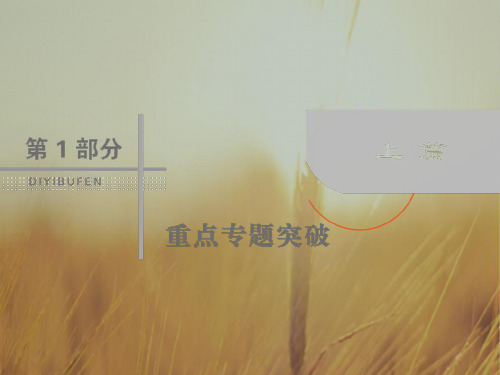 最新-2021届高考数学理二轮专题复习课件：第一部分 专题五 立体几何 153 精品