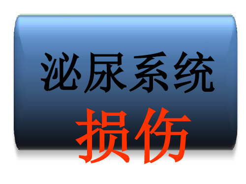 外科学教学课件-泌尿系统损伤