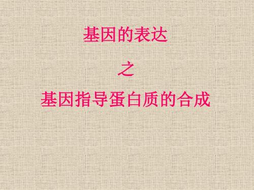 基因指导蛋白质的合成课件_-文档资料