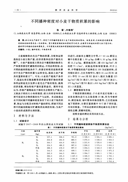 不同播种密度对小麦干物质积累的影响
