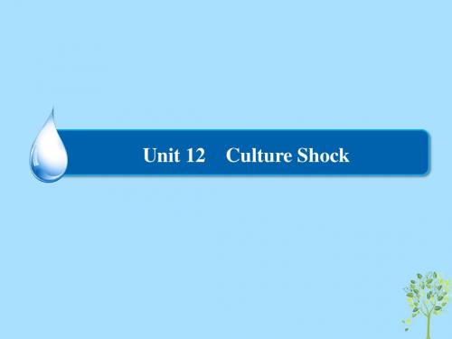 2018_2019学年高中英语Unit12CultureShockSectionⅡLesson2