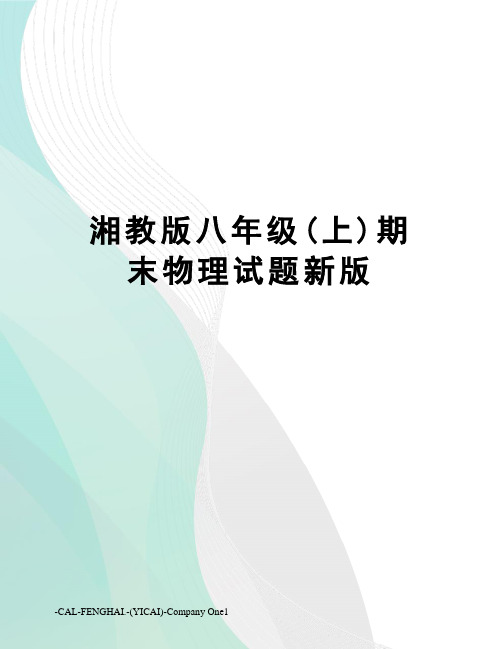 湘教版八年级(上)期末物理试题新版