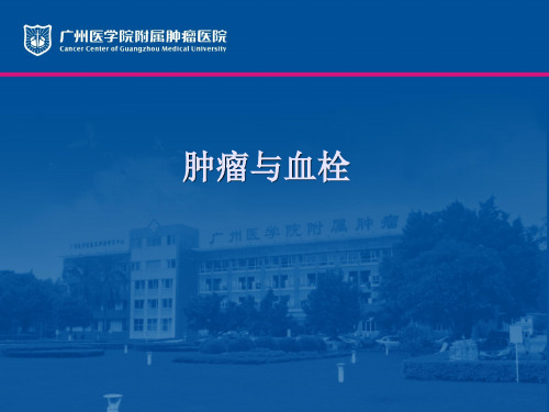 肿瘤与血栓 PPT