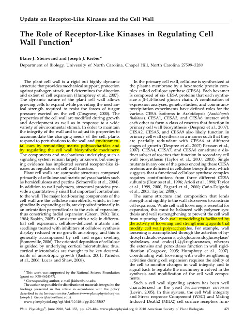 1 PP 2010 review The Role of Receptor-Like Kinases in Regulating Cell Wall Function1