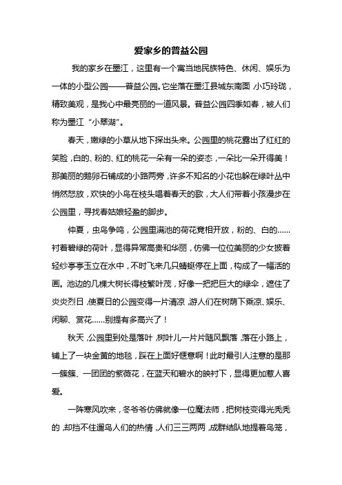 四年级作文：爱家乡的普益公园作文600字