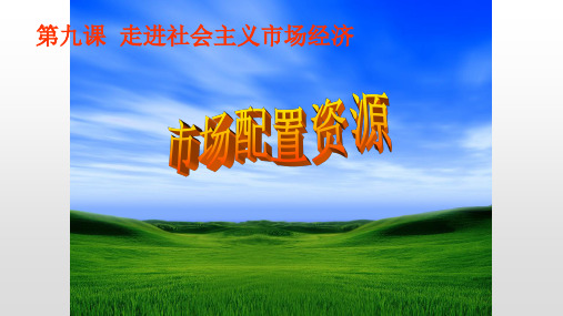 河北省正定县弘文中学人教版高中政治必修一课件：91市场资源配置(共46张PPT)