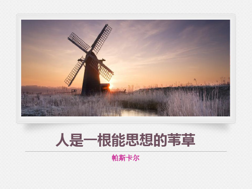 《人是一根能思考的苇草》短文三篇PPT教学课件【精品推荐课件】