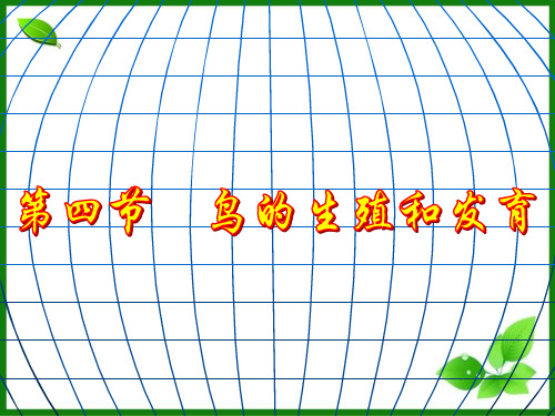人教版鸟的生殖和发育PPT优质课件1