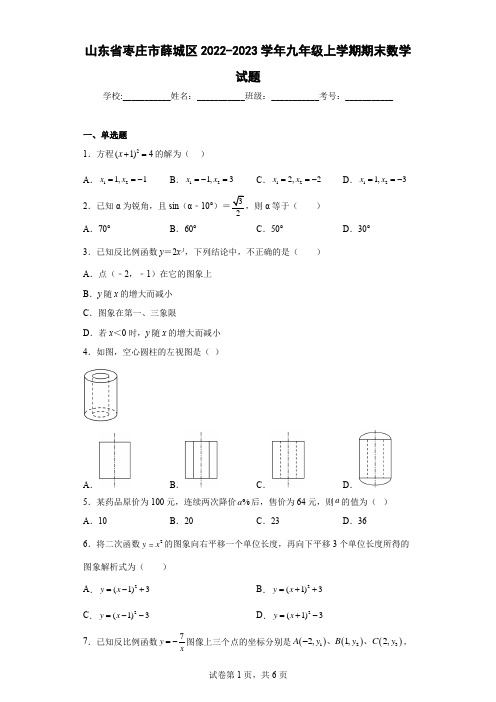 山东省枣庄市薛城区2022-2023学年九年级上学期期末数学试题及解析