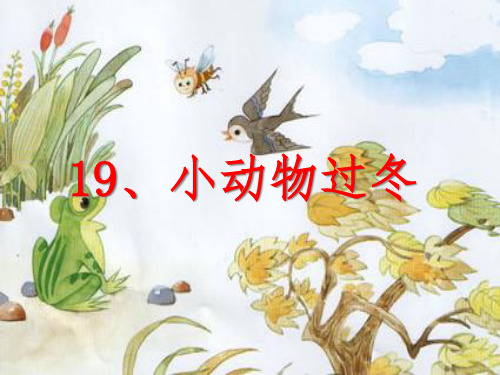 《19.小动物过冬》第二课时PPT课件