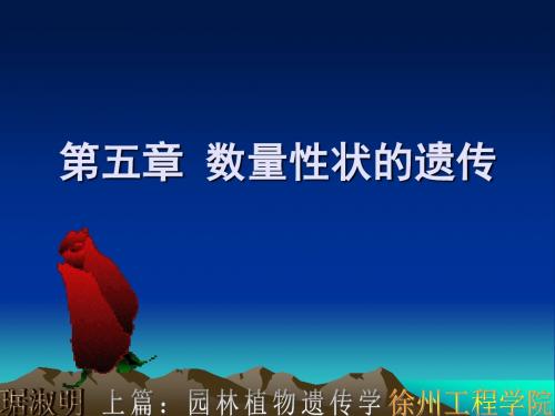 数量性状的
