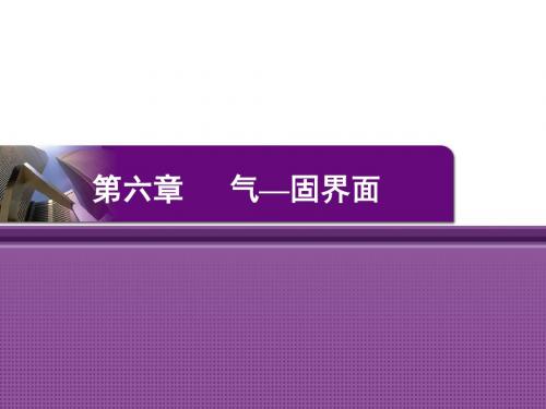 第六章 气—固界面