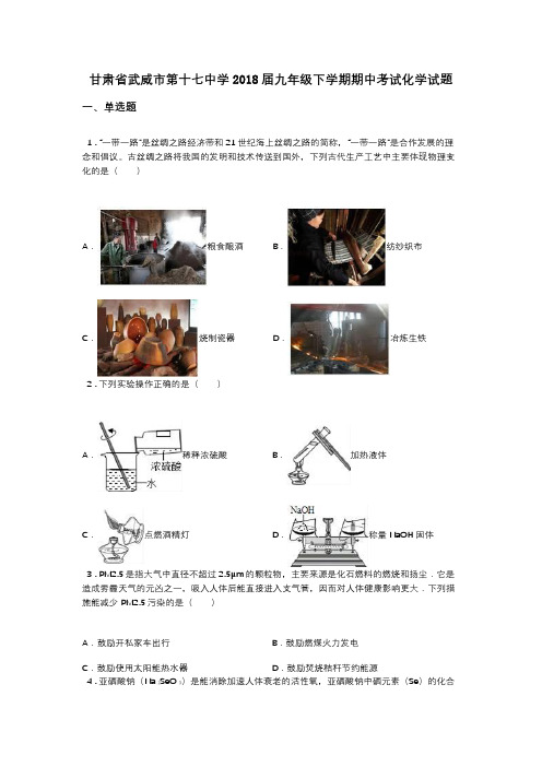 甘肃省武威市第十七中学2018届九年级下学期期中考试化学试题