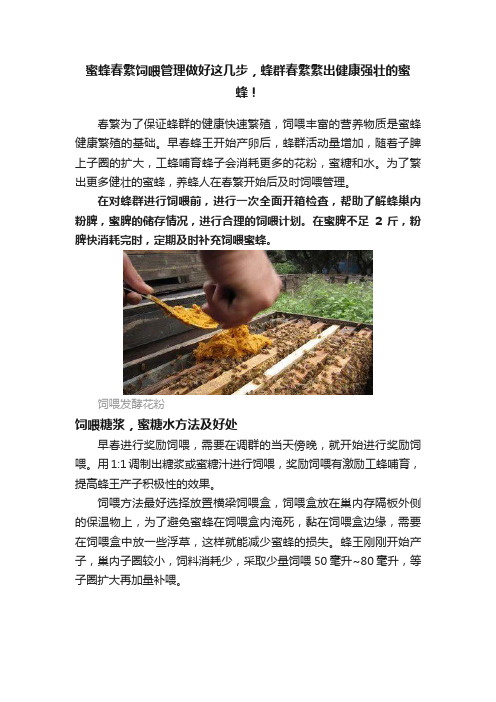 蜜蜂春繁饲喂管理做好这几步，蜂群春繁繁出健康强壮的蜜蜂！
