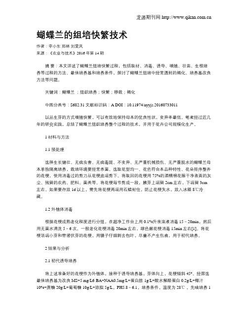 蝴蝶兰的组培快繁技术