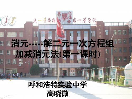 加减消元法解二元一次方程组高晓微