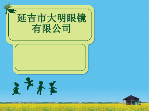 课件：市场研究-大明眼镜环境分析