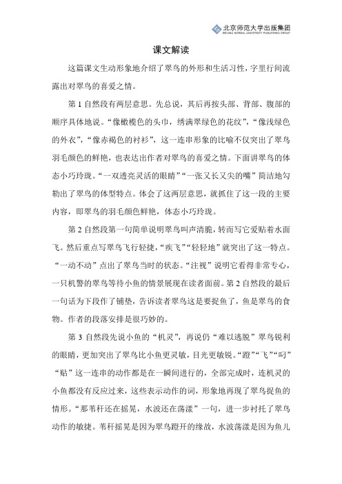 北师小学语文三上第五单元《翠鸟》课文解读