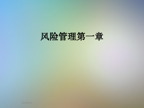 风险管理第一章