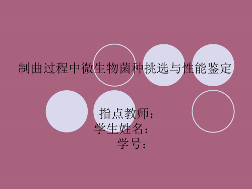 《论文开题答辩》ppt课件