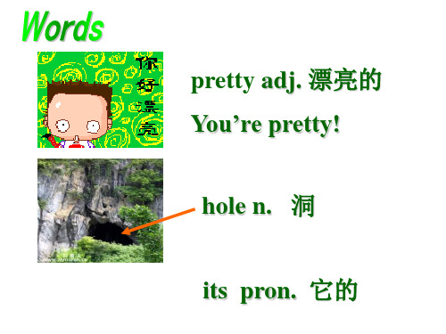 八年级英语plant a plant课件2(1)(PPT)4-1