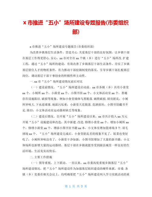 x市推进“五小”场所建设专题报告(市委组织部)