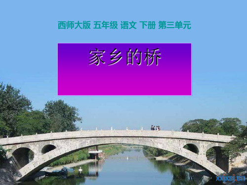 《家乡的桥》PPT课件 (共11张PPT)
