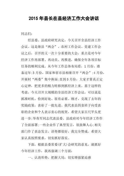 2015年县长在县经济工作大会讲话