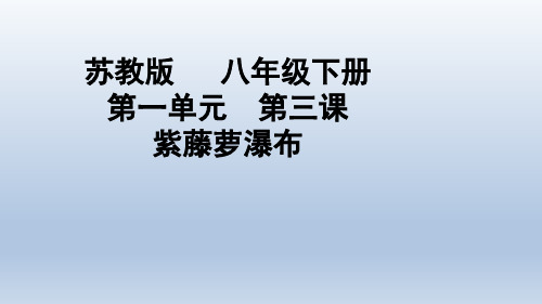 苏教版八年级下册语文：三 紫藤萝瀑布