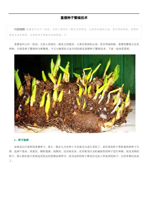 重楼种子繁殖技术