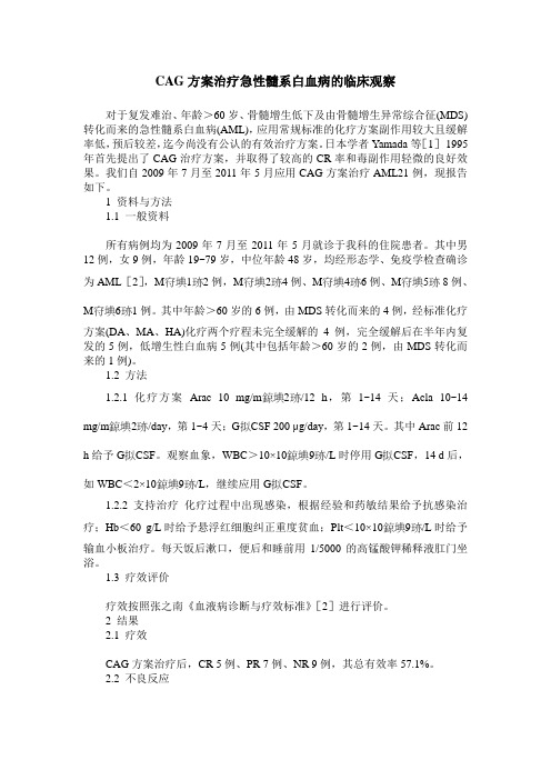 CAG方案治疗急性髓系白血病的临床观察