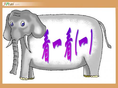 北师版小学数学二年级上册观察物体“看一看(一)”课件