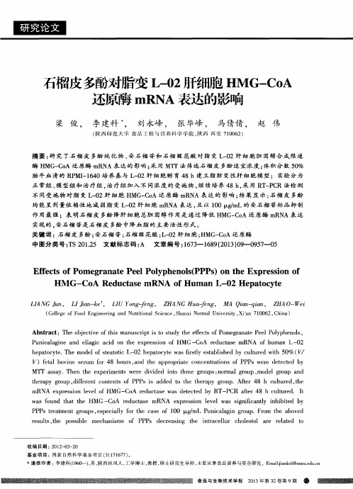 石榴皮多酚对脂变L-02肝细胞HMG-CoA还原酶mRNA表达的影响