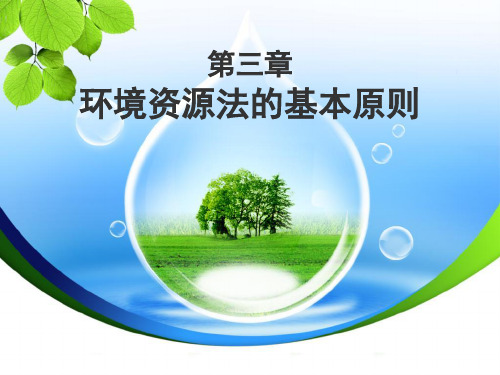 环境资源法的基本原则