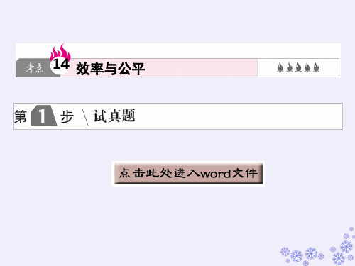 2019版高中政治A版一轮复考点复习课件：考点14 效率与公平