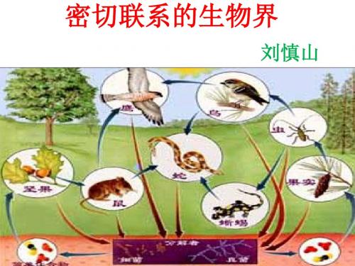 《密切联系的生物界》ppt