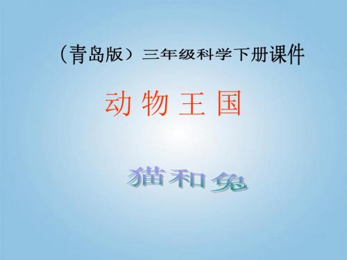 三年级下册科学课件-21.猫和兔-青岛版(六年制)