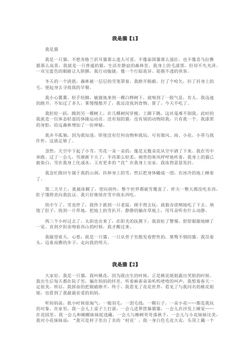 我是猫作文
