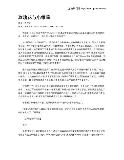 玫瑰花与小雏菊