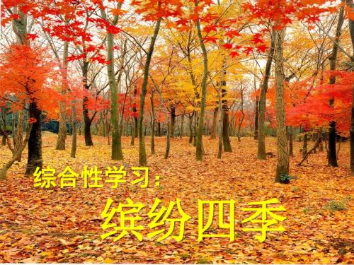 综合性学习：感受自然(缤纷四季)ppt19 人教版