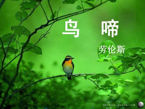 1鸟啼