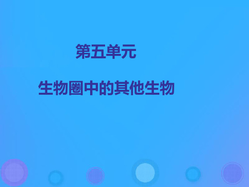 人教版5.1.1《腔肠动物和扁形动物》课件(45张PPT)