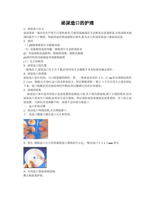 泌尿造口的护理【范本模板】