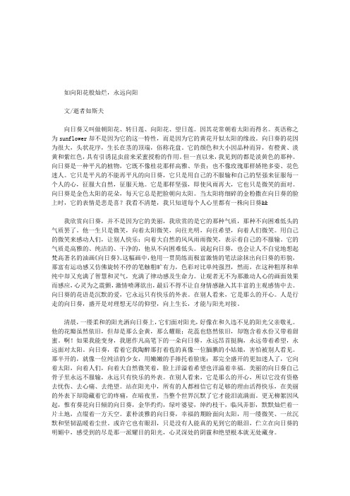 如向阳花般灿烂,永远向阳