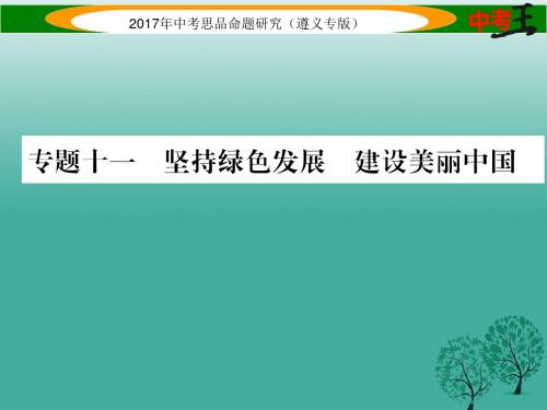 中考政治总复习第二编中考热点速查篇专题十一坚持绿色发展建设美丽中国课件